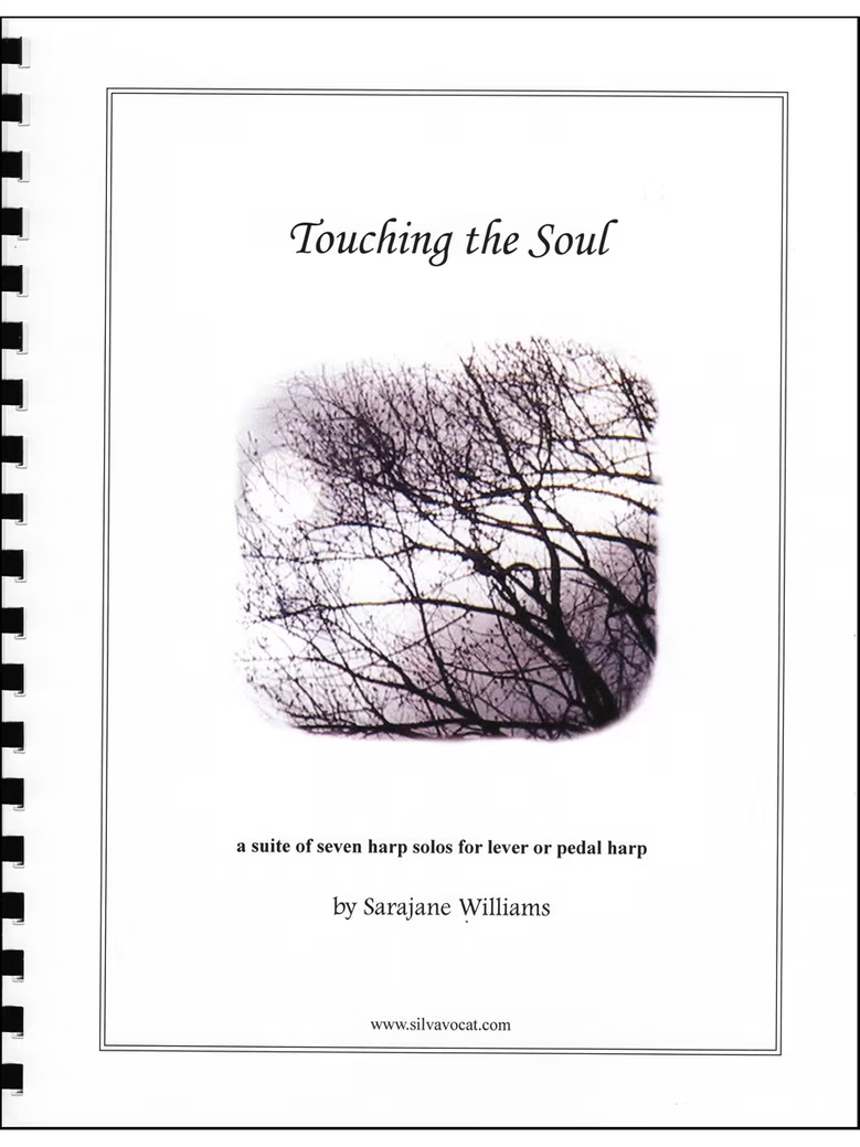 Touching the Soul by Sarajane Williams, eBook